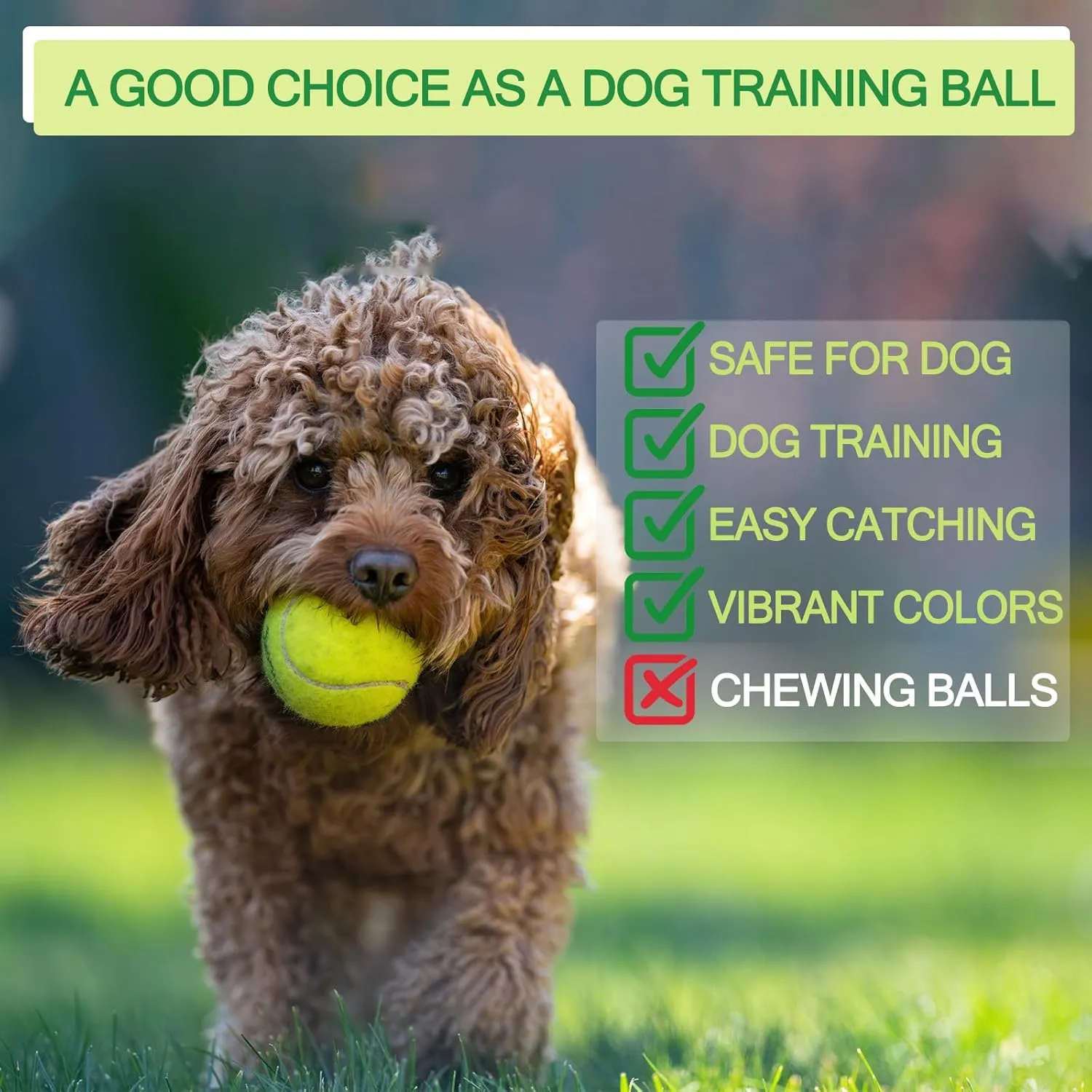 Bulk Tennis Balls for Beginner ??12 Pack High Elasticity Practice Tennis Balls with Mesh Bag, Suit for Pet Dog Training, Fetching