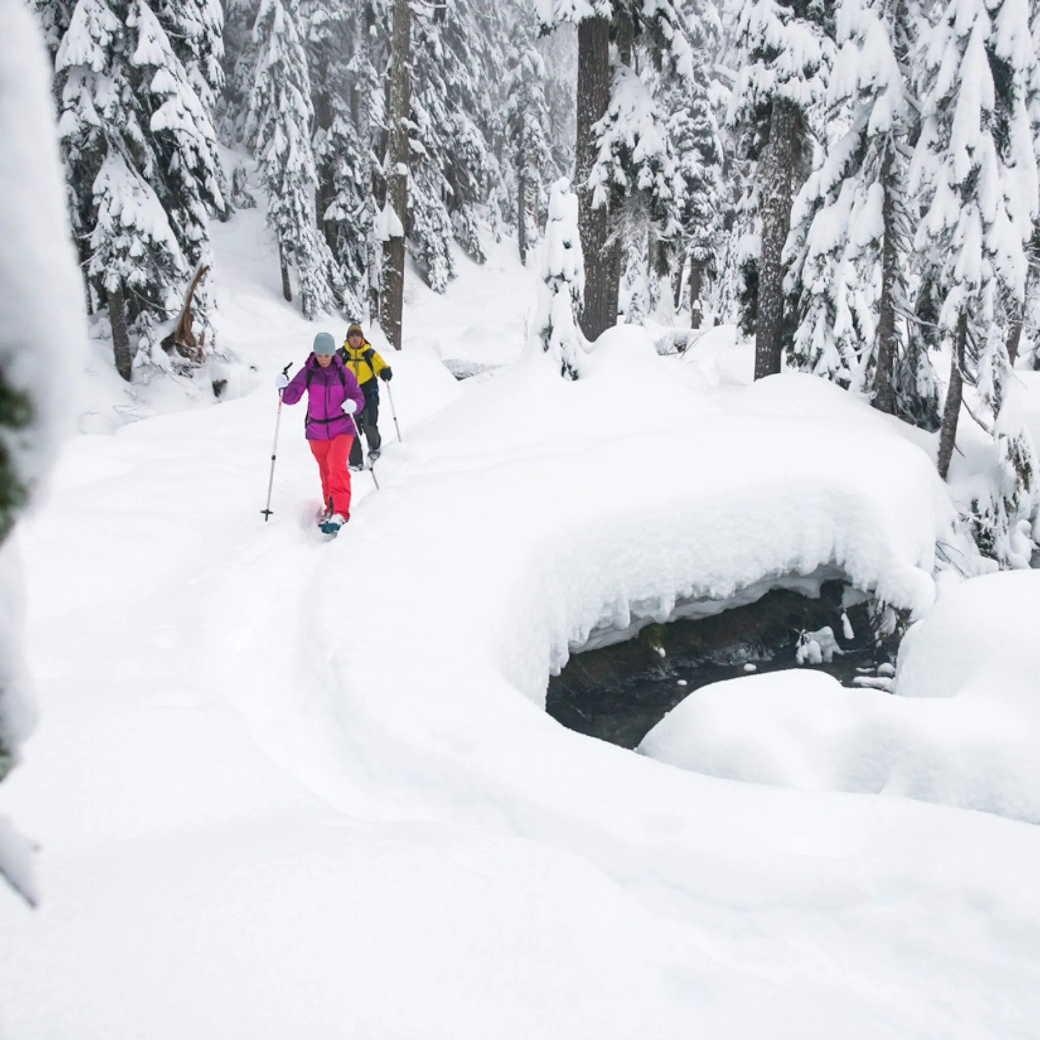 MSR DynaLock Trail Backcountry Poles