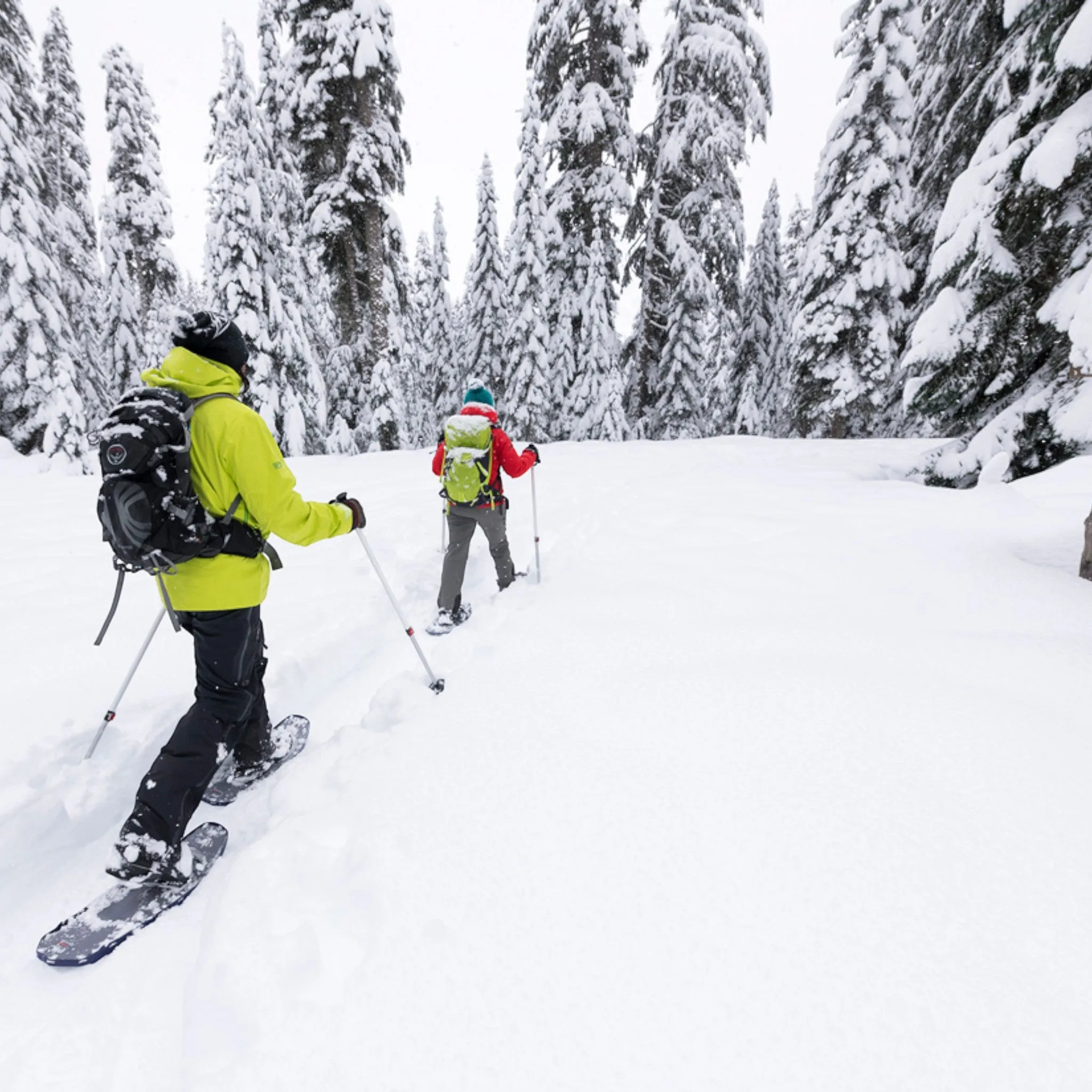 MSR DynaLock Trail Backcountry Poles